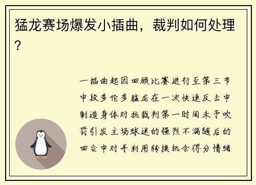 猛龙赛场爆发小插曲，裁判如何处理？